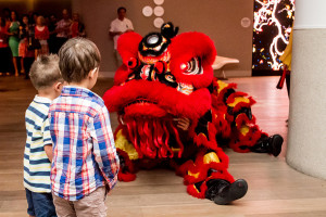 lion dancing gold coast