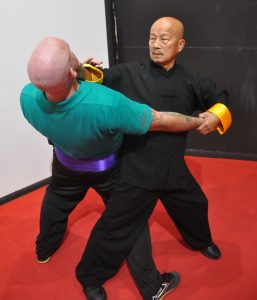 Kung Fu Training